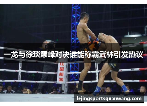 一龙与徐琰巅峰对决谁能称霸武林引发热议